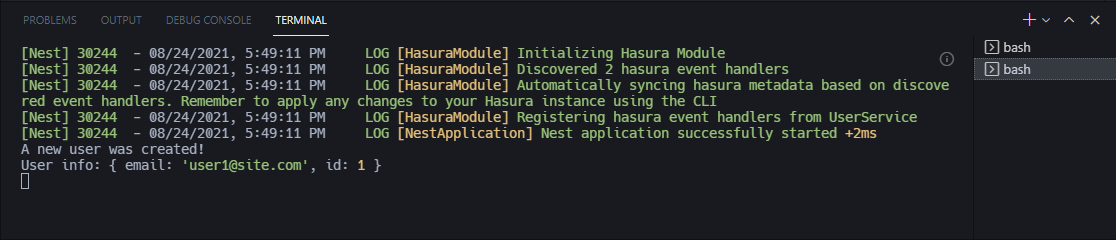 user1-created-in-nest-console-output