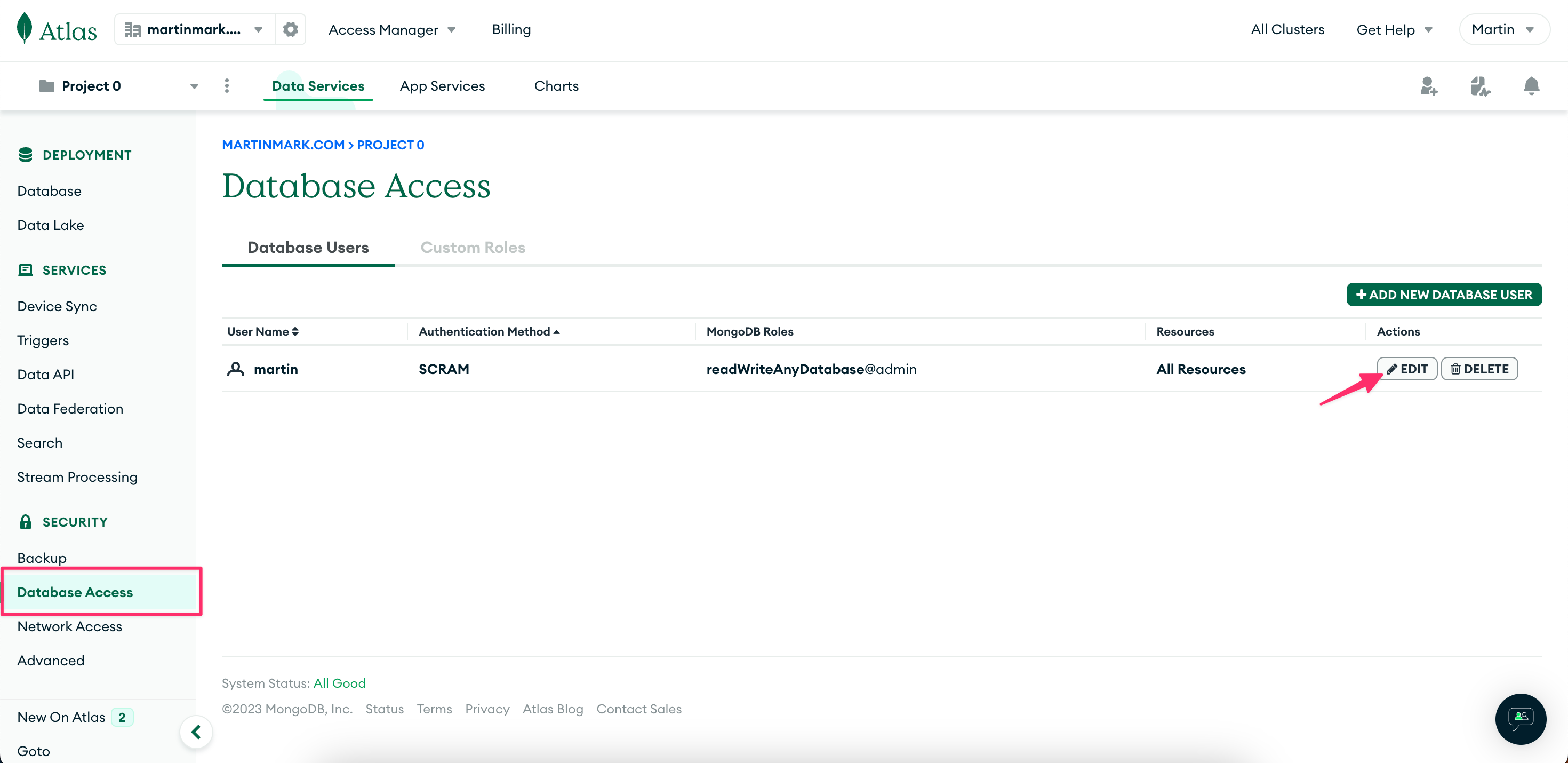 MongoDB Atlas - Reset Password