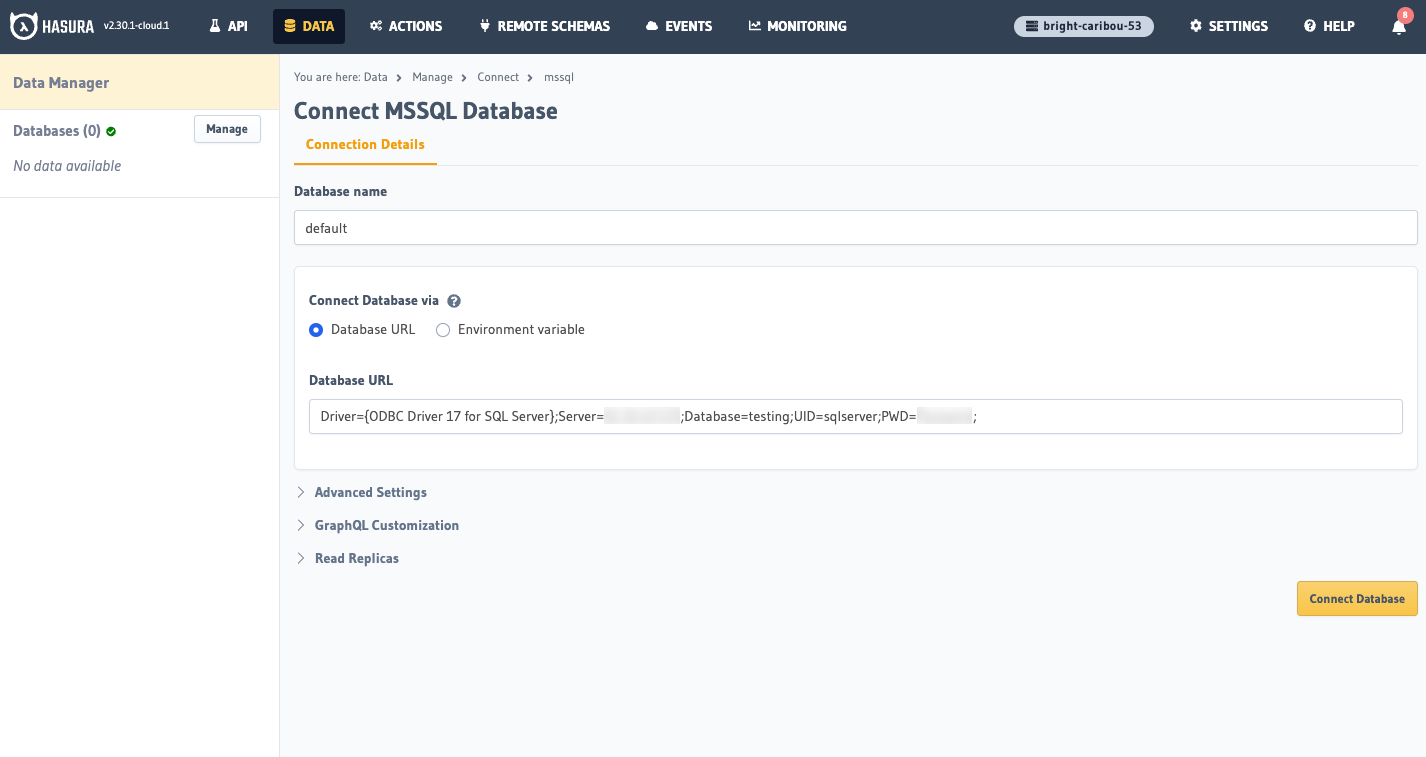 Database setup