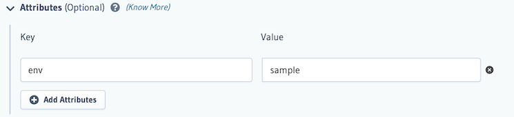 OpenTelemetry Attributes Console Configuration