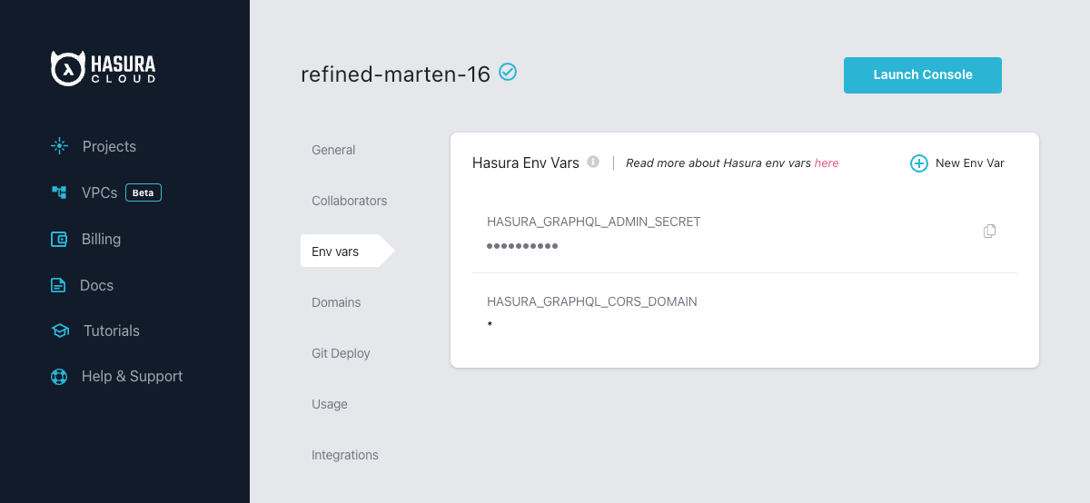Hasura project environment var UI