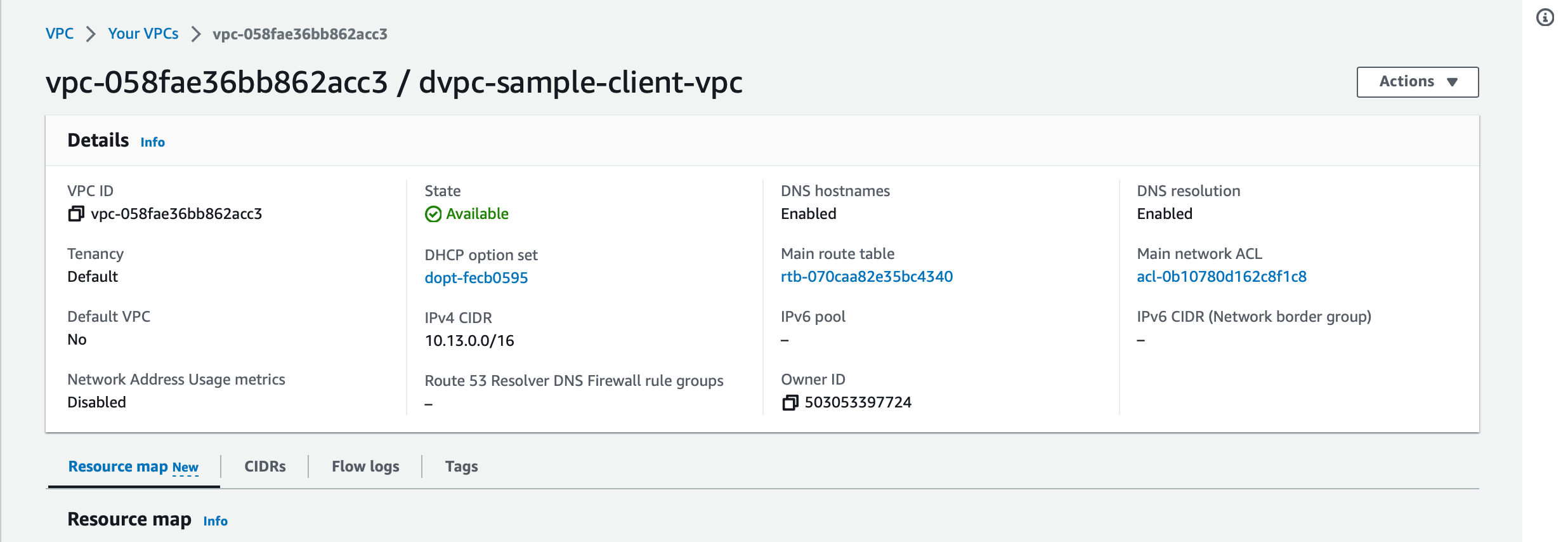 VPC dns settings