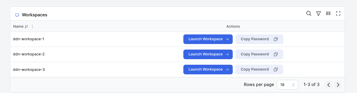 Launch DDN workspace